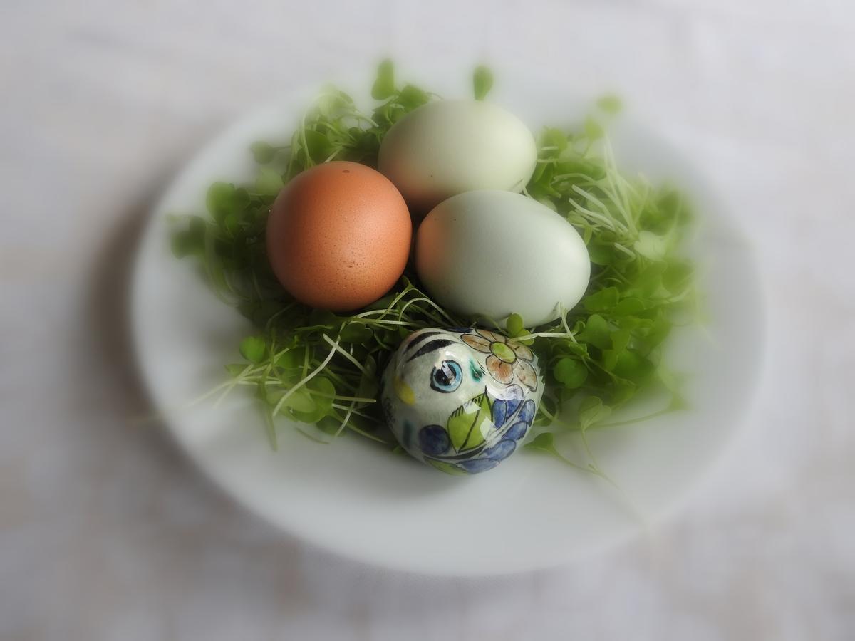The Empty Nest B & B Carrying Place エクステリア 写真