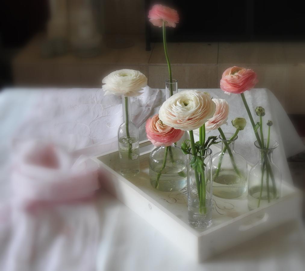 The Empty Nest B & B Carrying Place エクステリア 写真